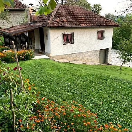 Cheerful Village With Indoor Fireplace
